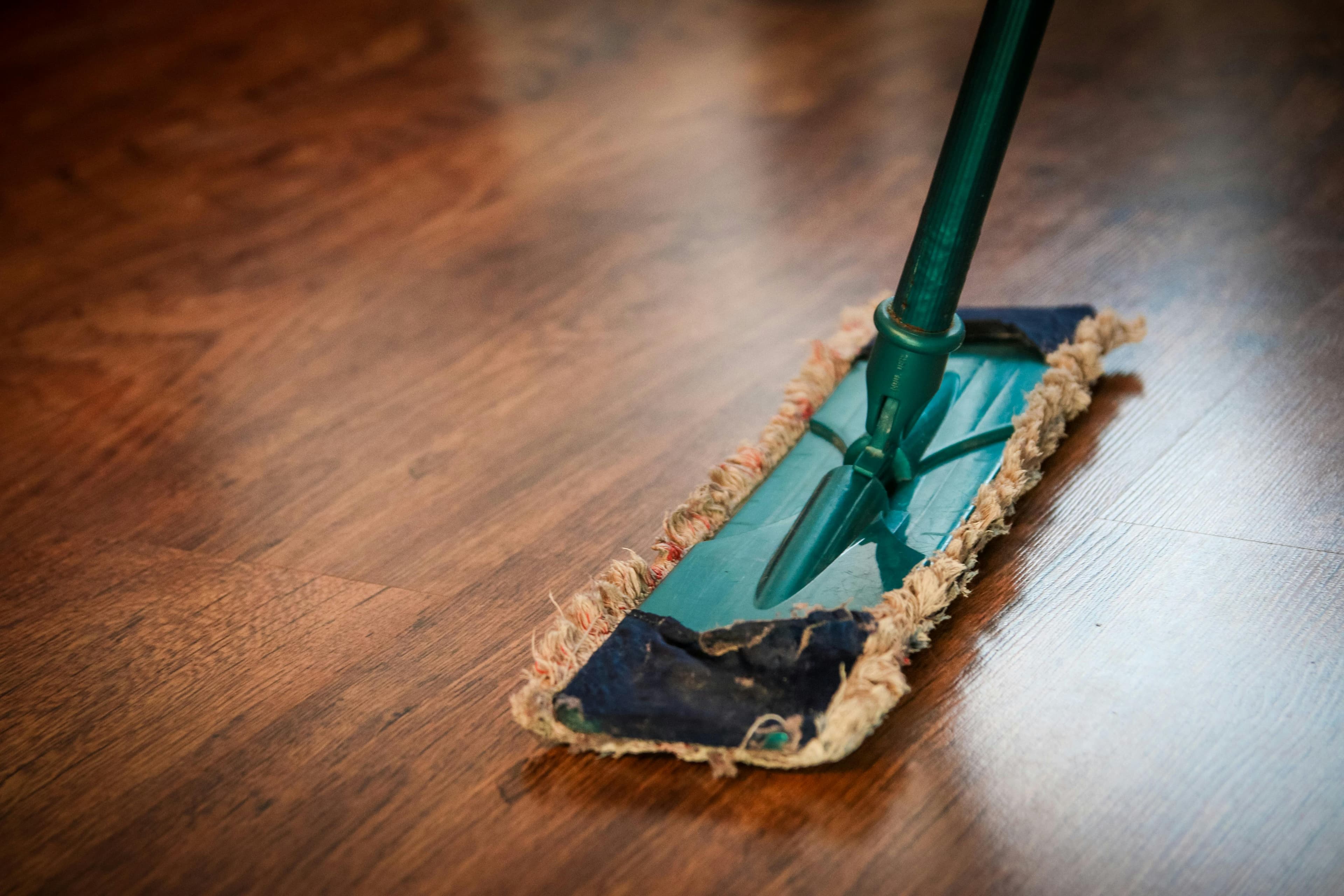 Move In / Move Out Cleaning